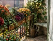 Fioriere autunnali per terrazzo: piante, colori e cura