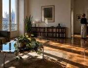 Piante d’appartamento per soggiorni luminosi senza luce solare diretta