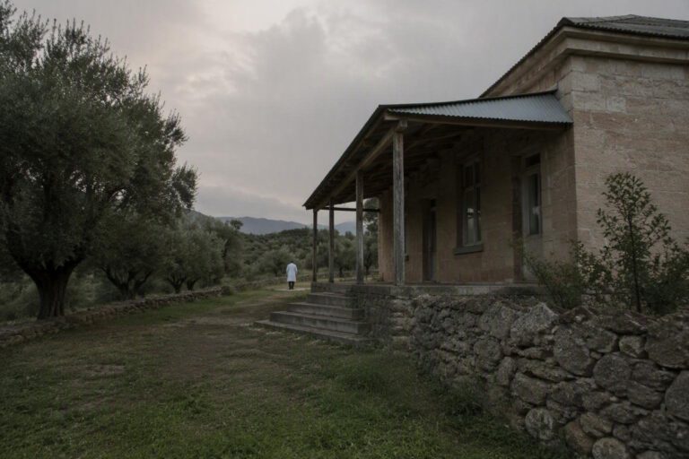 Azienda Zero avvia reclutamento di 111 medici specialisti in Calabria