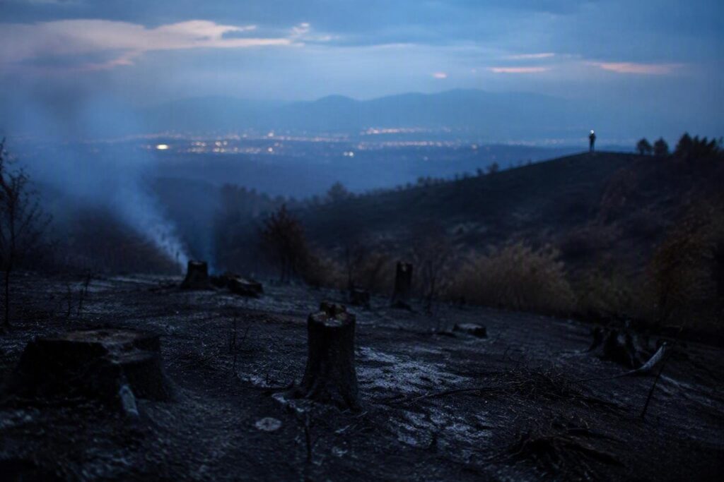 Denunciato l’autore di un incendio in Calabria: ecco come è stato scoperto
