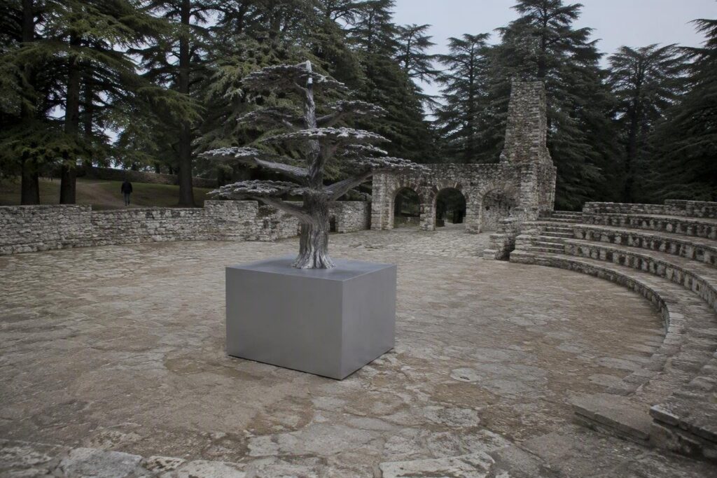 Santa Maria del Cedro: il Cedro d’Argento diventa il premio ufficiale della città