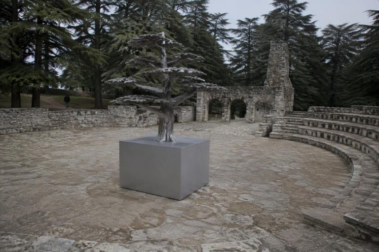 Santa Maria del Cedro: il Cedro d’Argento diventa il premio ufficiale della città