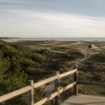 Conferenza dei servizi dà il via al piano di protezione delle dune