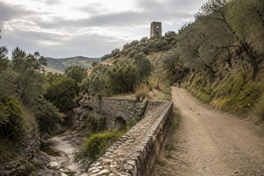 Guida cicloturismo Catanzaro: percorsi tra Ionio e Sila
