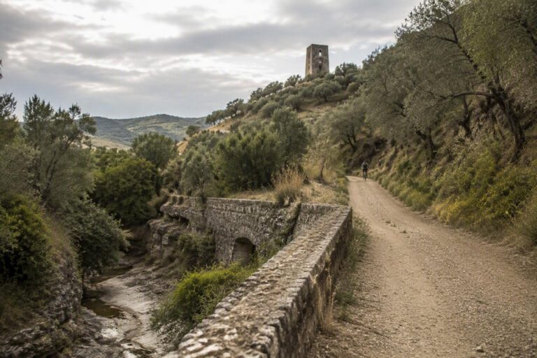 Guida cicloturismo Catanzaro: percorsi tra Ionio e Sila
