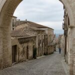 Truffe urbane a Catanzaro: come riconoscerle e segnalarle
