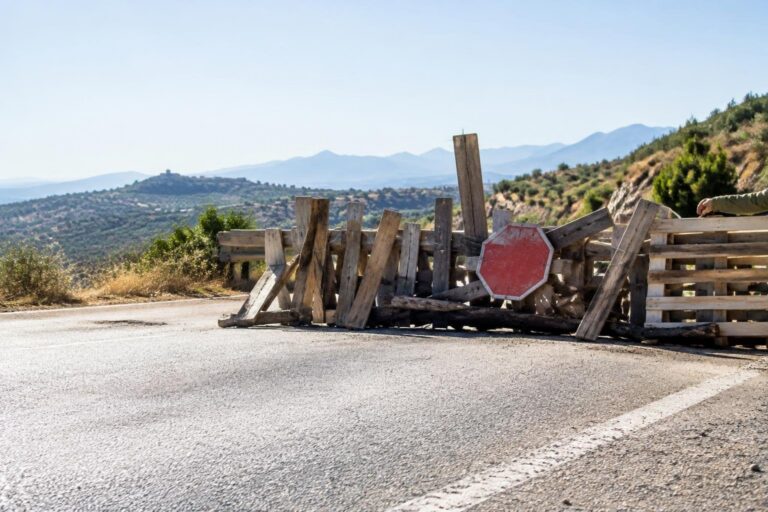 Proteste per il caro carburanti: blocco di autotrasportatori in Calabria