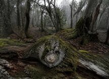 Black Spot: un thriller horror francese tra foreste, gendarmeria e misteri