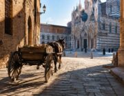 Dio ride, il nuovo film di Veronesi: tutto quello che c’è da sapere