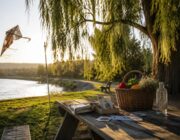 Discovering low-cost activities in parks and waterfronts