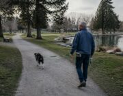 A dog-friendly day out: tips and tricks for a happy adventure