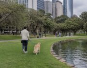 Pet-friendly outings in the city