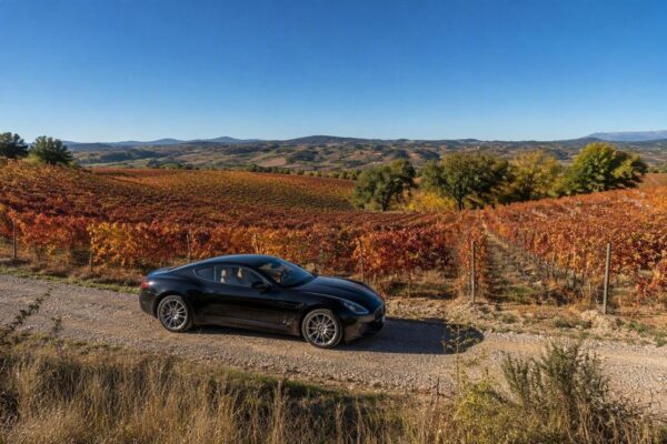 Fall wine country escapes in Woodinville with luxury transportation