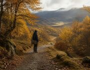 UK autumn escapes: top spots for a perfect leafy day out
