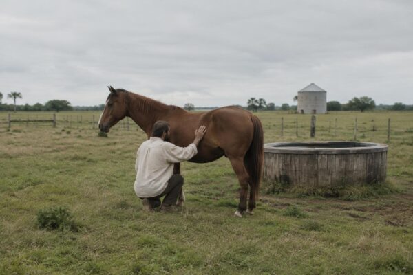 A tranquil day in Southwest Ranches: farms, rides, and local bites