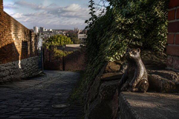 Discover the ‘Bear With Me’ sculpture that comforts Bristol walkers