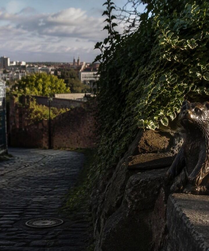 Discover the ‘Bear With Me’ sculpture that comforts Bristol walkers