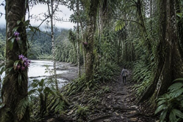 Avventura nell'Amazzonia ecuadoriana: tra orchidee rare e tribù indigene