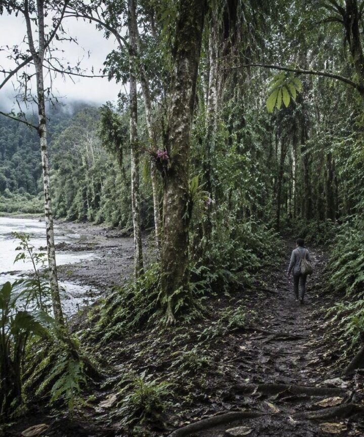Avventura nell'Amazzonia ecuadoriana: tra orchidee rare e tribù indigene