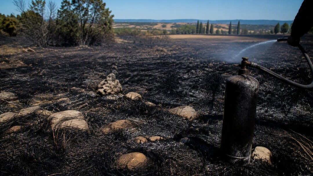 Onda di calore e incendi: la situazione critica in Italia