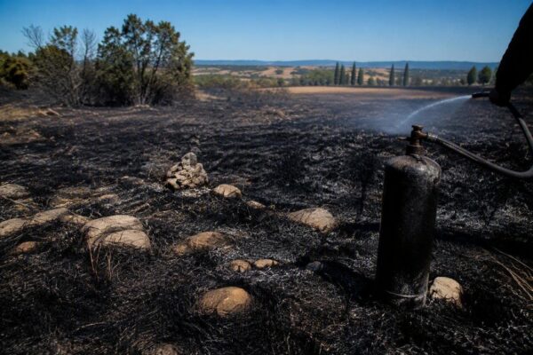 Onda di calore e incendi: la situazione critica in Italia