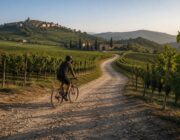 Percorsi ciclabili facili tra vigneti con degustazioni