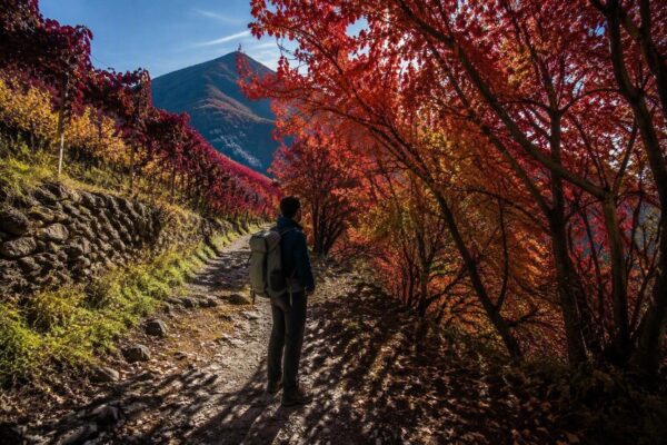 Scopri le passeggiate, i sapori e le sagre autunnali in Valtellina