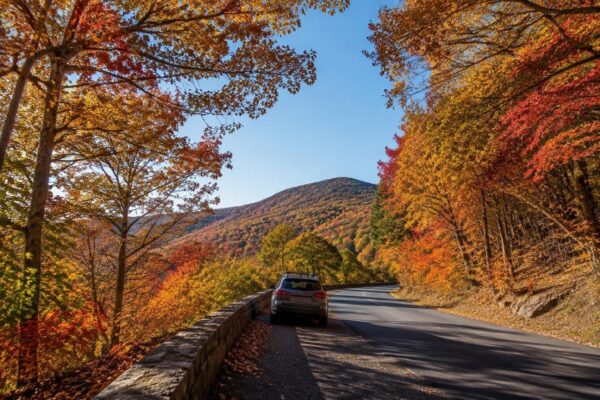 Viaggio on the road sulla Blue Ridge Parkway: 754 km di scenari Appalachian