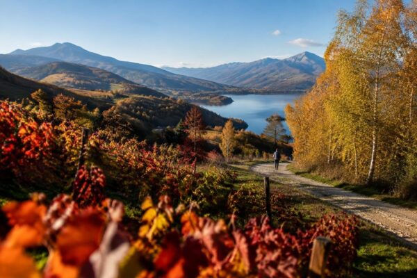 Dove trovare i colori d'autunno più spettacolari in Italia