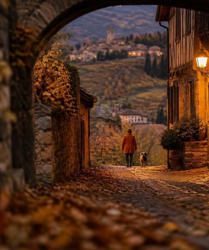I migliori festival del tartufo in Italia tra ottobre e novembre