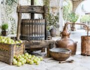 Oviedo e le Asturie: tradizioni, sidro e itinerari da non perdere