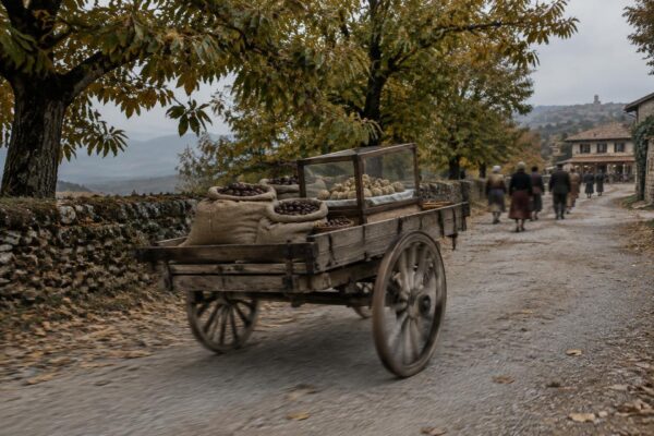 Scopri le sagre e le fiere del Piemonte per il weekend del 17 ottobre