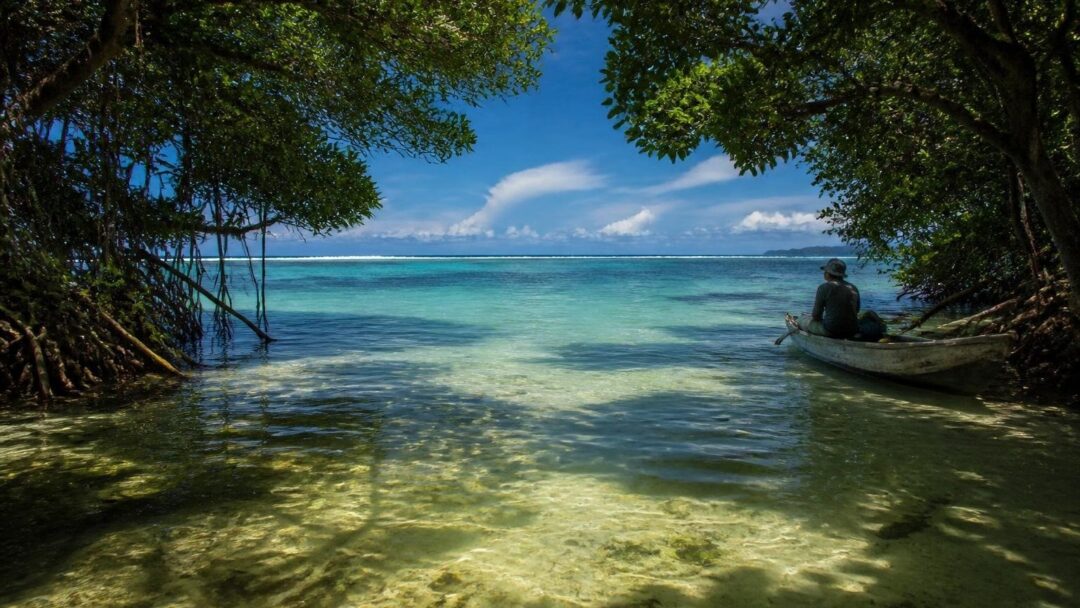 Scopri le spiagge, la bioluminescenza e i parchi di Bocas del Toro