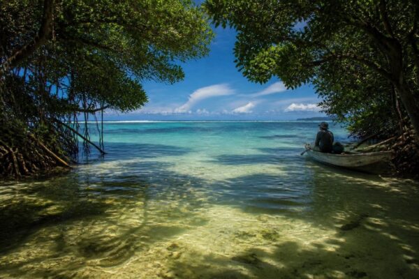 Scopri le spiagge, la bioluminescenza e i parchi di Bocas del Toro