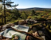 Sentieri semplici per il foliage senza folla