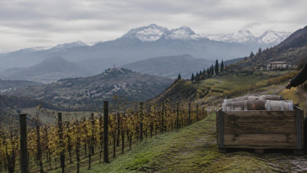 Viaggio nel Veneto autentico: da Treviso a Pieve di Cadore