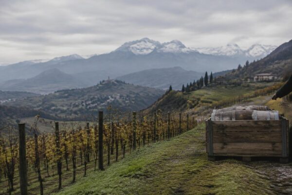 Viaggio nel Veneto autentico: da Treviso a Pieve di Cadore