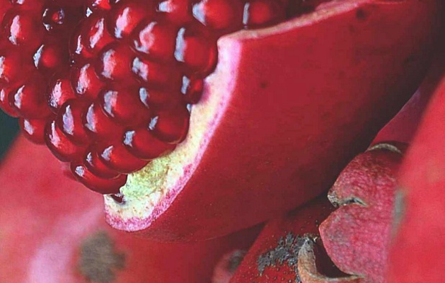 Ricetta Succo Ricco Di Mela Alla Ciliegia – Bevande