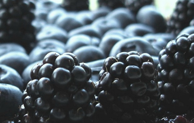 Ricetta Succo Ricco Di Fico All’uva Scura – Bevande