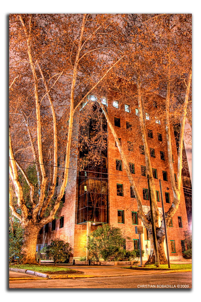 Ricetta Bobadilla’s Night – Bevande