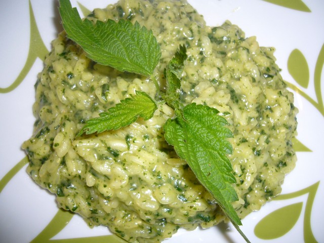 Ricetta Risotto Con Le Ortiche – Primo