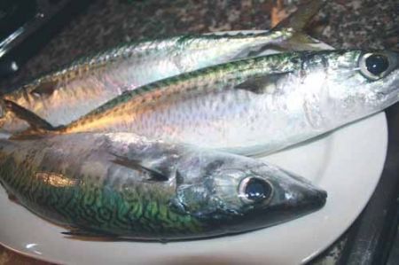 Ricetta Sgombri Alla Mugnaia – Pesce