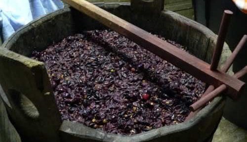 Ricetta Pane Al Vincotto – Primo