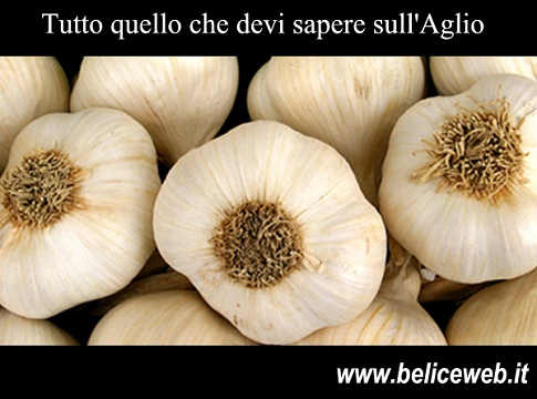 Ricetta Liquore D’aglio – Bevande