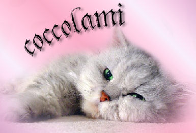Ricetta Coccolami – Bevande