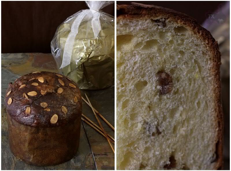 Ricetta Panettone (2) – Dessert