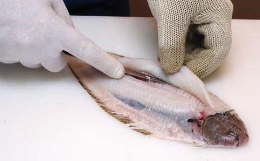 Ricetta Fogosch Del Balaton – Pesce