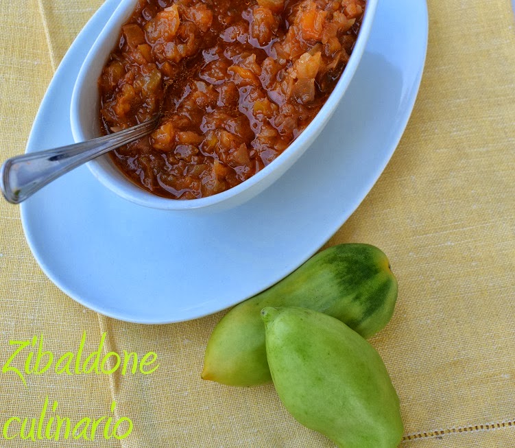 Ricetta Salsa Di Cipolle E Pomodoro – Salsa