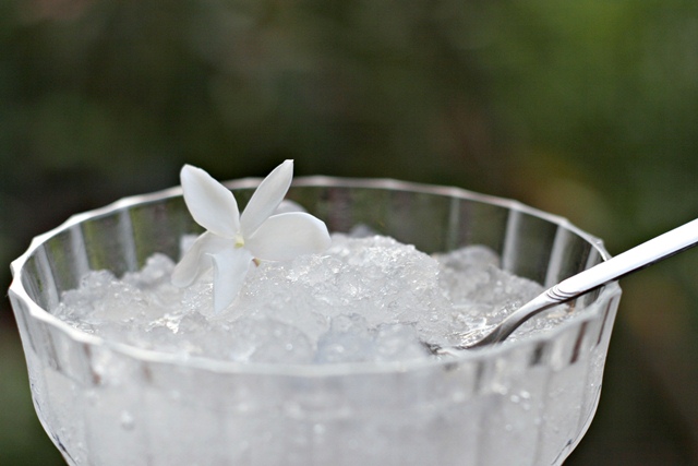 Ricetta Granita Di Gelsomino – Dessert