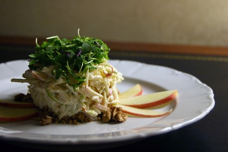 Ricetta Insalata Waldorf Astoria (2) – Contorno